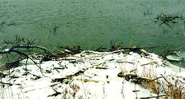 Bobri hrad ze strane nad nim