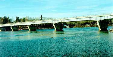 Geese and the Pinawa bridge