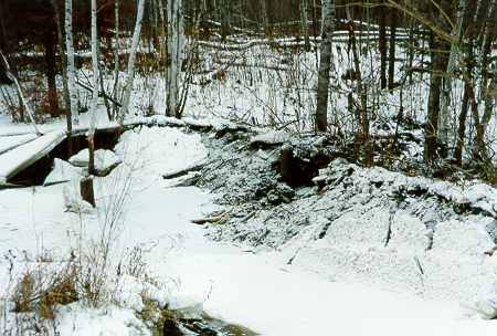 Beaver dam destroyed by people around Nov. 25, 2000