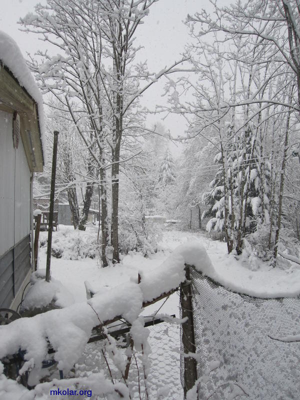 2014 was a snowy winter on the Quadra Island